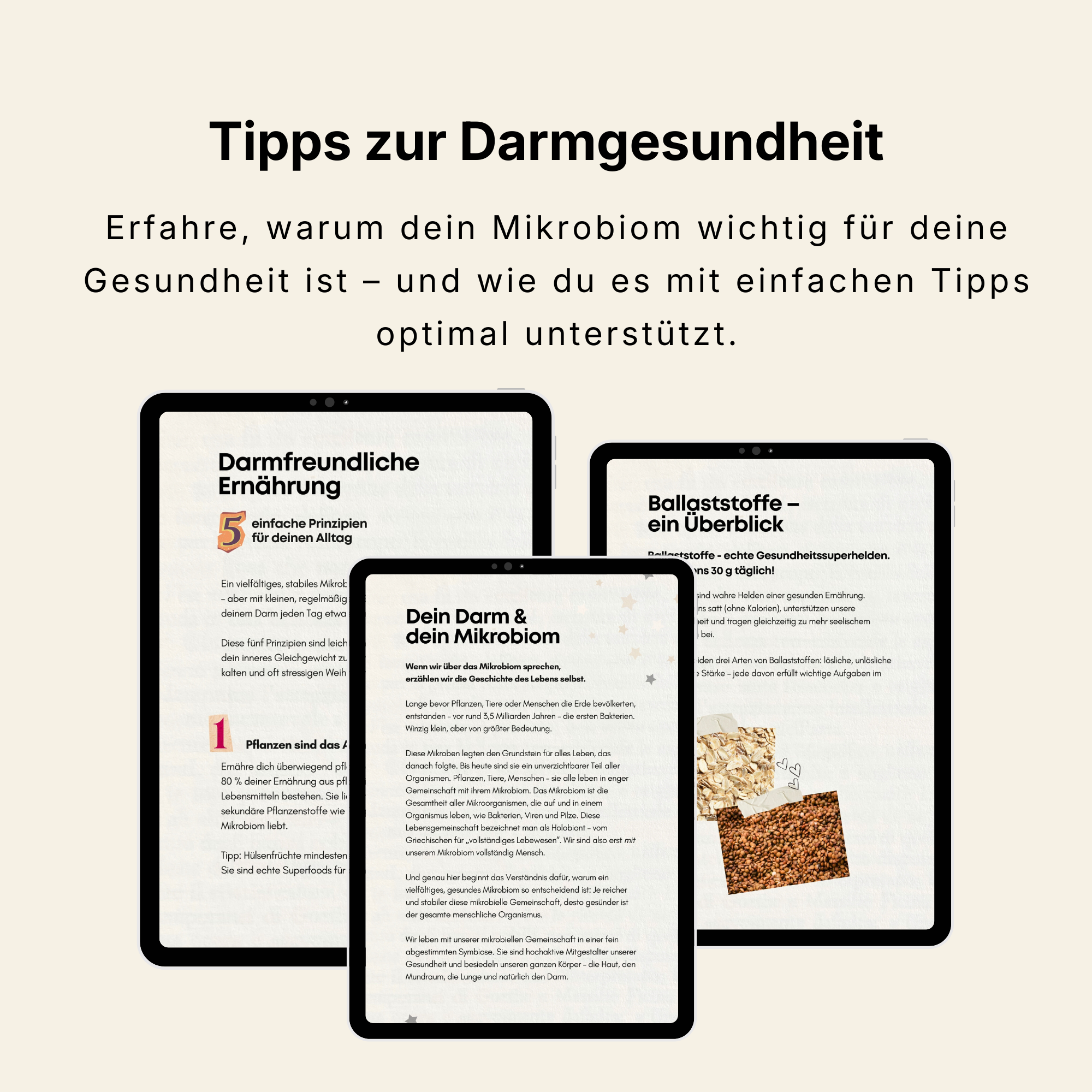 E-Book - Darmfreundliche Weihnachtszeit