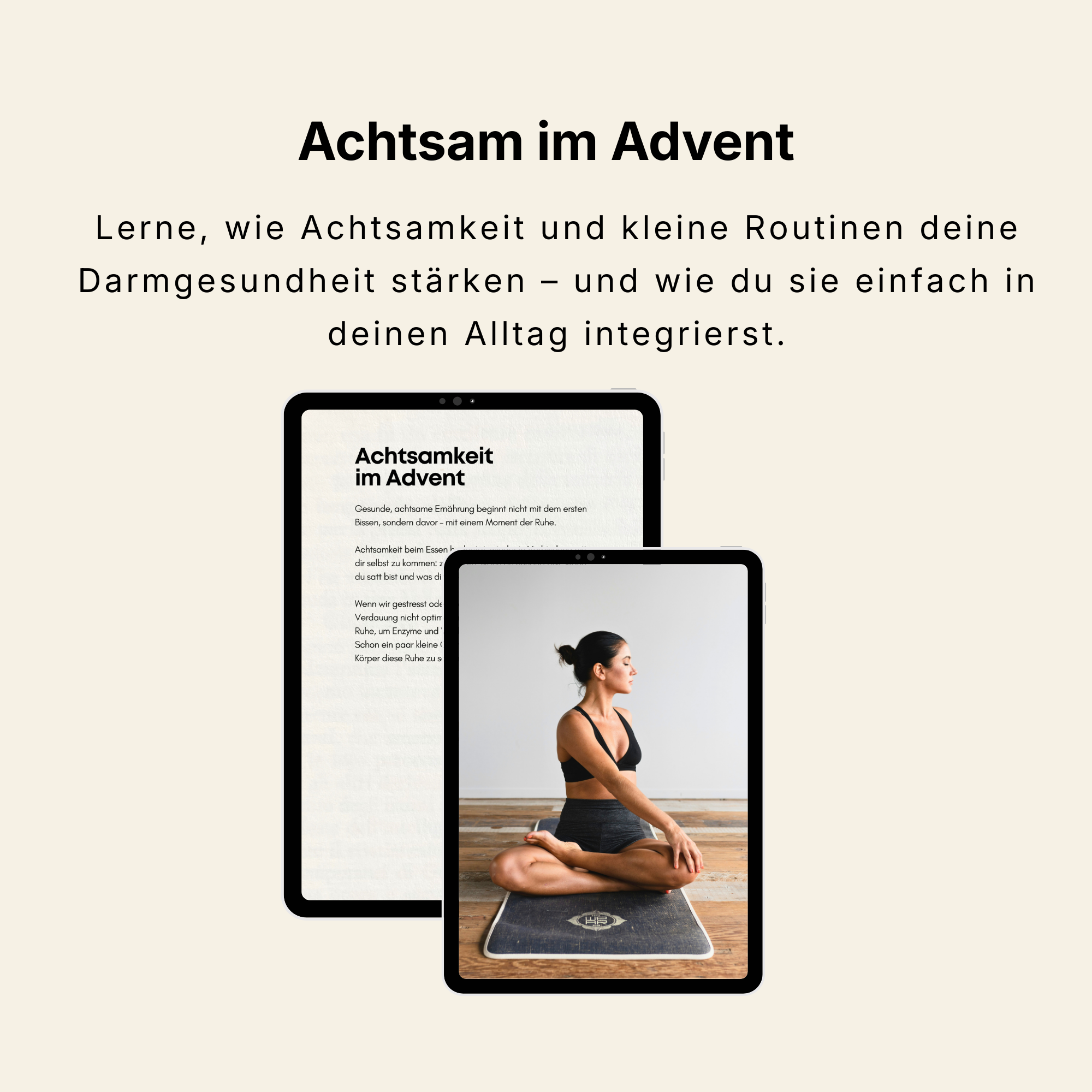 E-Book - Darmfreundliche Weihnachtszeit
